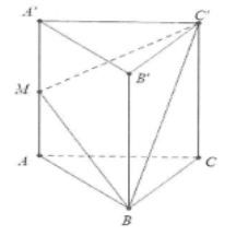 Cách chứng minh hai mặt phẳng vuông góc nhanh – bài tập có đáp án chi tiết - Tự Học 365