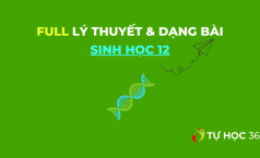 Lý thuyết trọng tâm về di truyền học quần thể