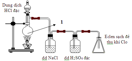 Trắc nghiệm Bài 27 Bài thực hành số 2 Tính chất hóa học của khí clo và hợp  chất của Clo