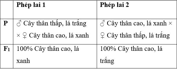 [LỜI GIẢI] Ở Một Loài Thực Vật Alen A Quy định Thân Cao Trội Hoàn - Tự ...